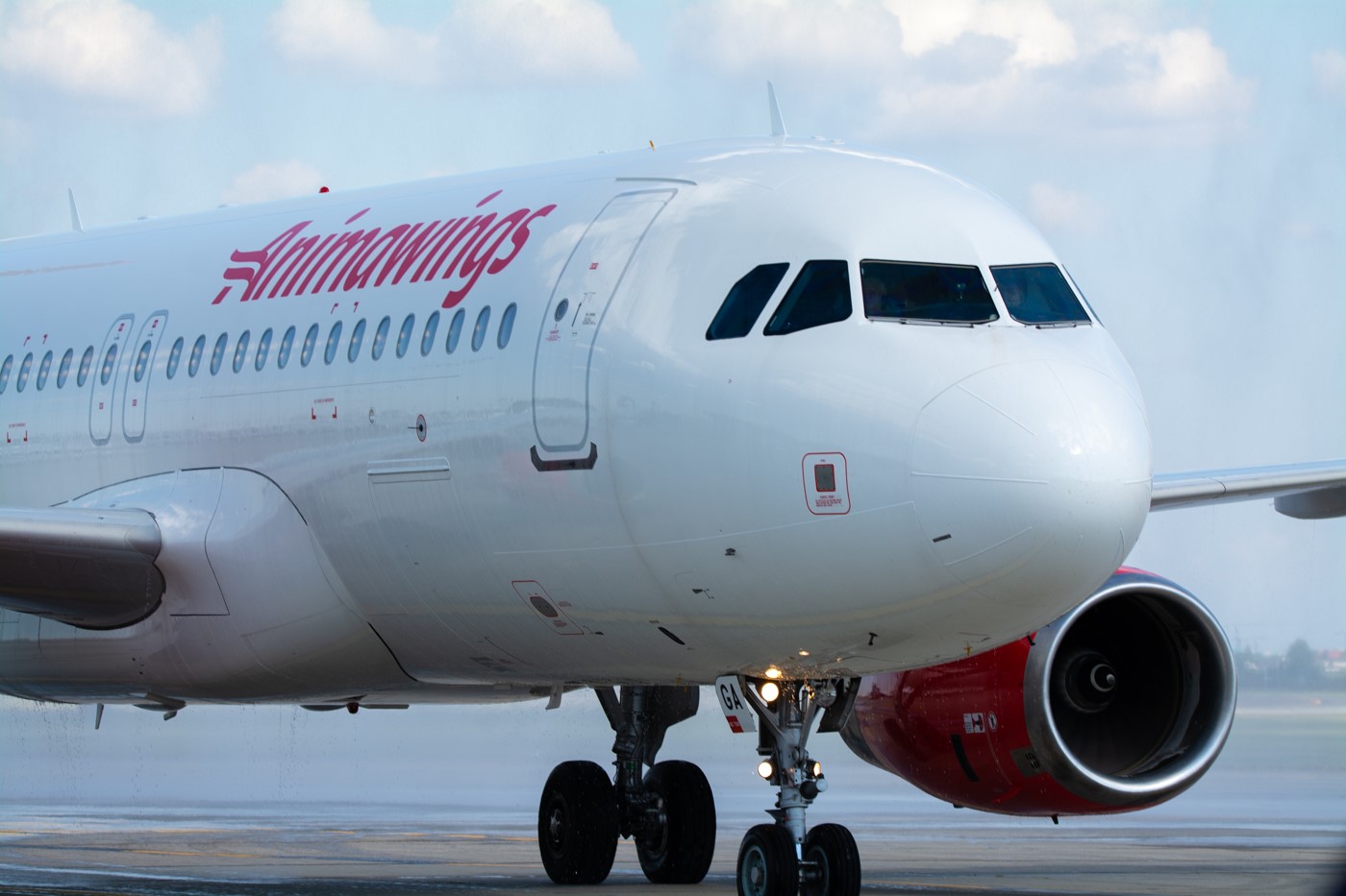 Tribunalul București a respins cererea de insolvență depusă de Anima Wings Aviation SA