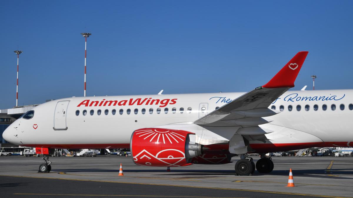 Tribunalul București a respins cererea de insolvență depusă de compania aeriană AnimaWings