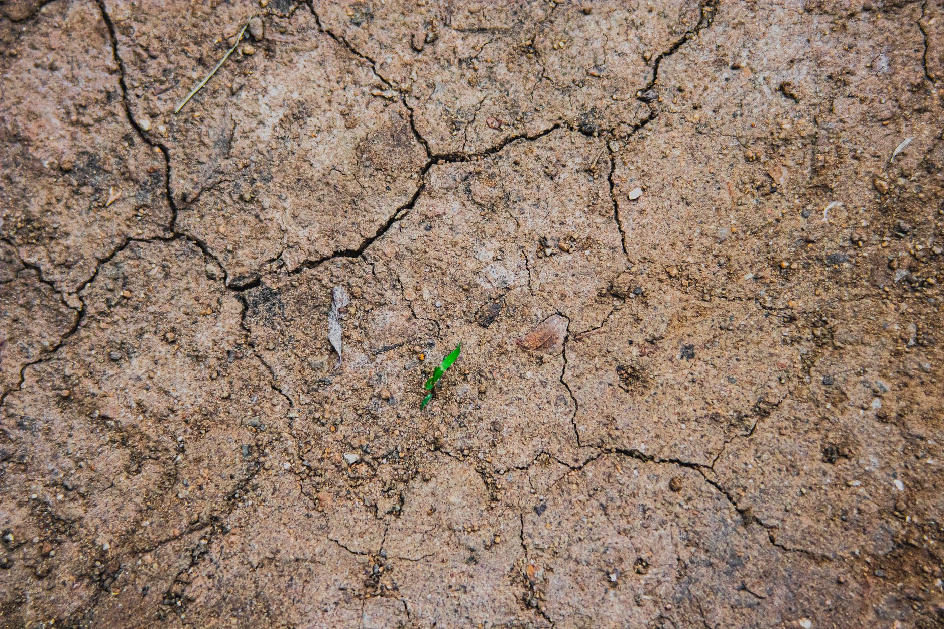 Avertisment PNUD: Criza energetică și fenomenul El Niño pot împinge milioane de oameni în sărăcie