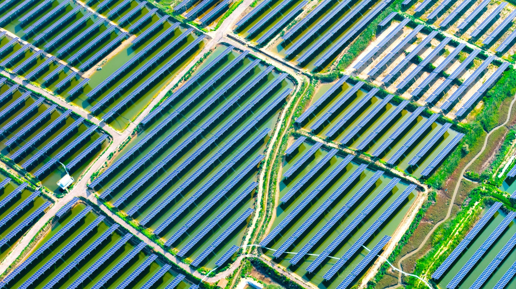 Investiție de peste 500 de milioane de euro pentru un parc fotovoltaic masiv în Arad