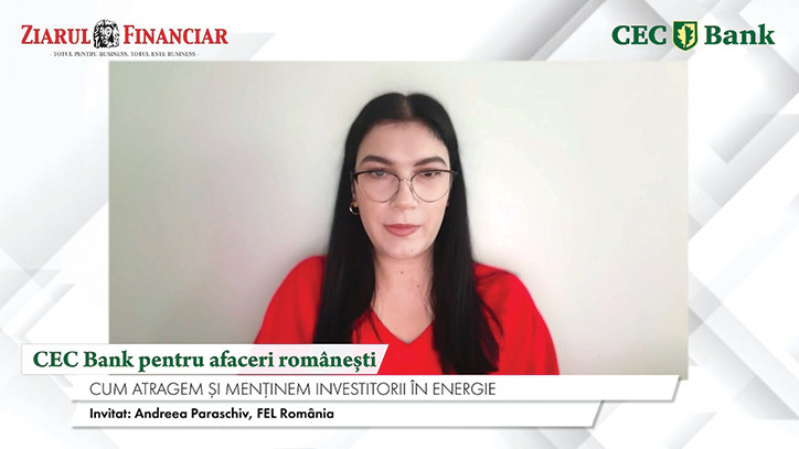 România este o piață atractivă pentru investiții în energie, conform FEL România