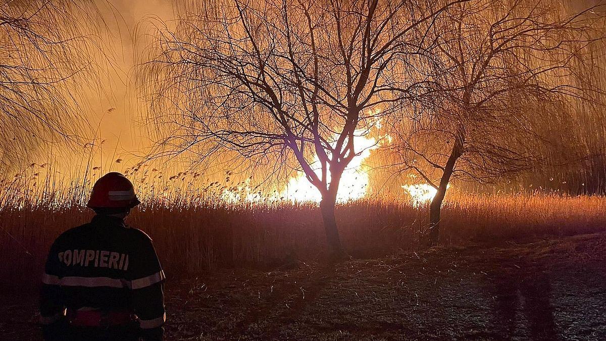 Nouă metodă de monitorizare a coloanelor de fum pentru anticiparea incendiilor de vegetație