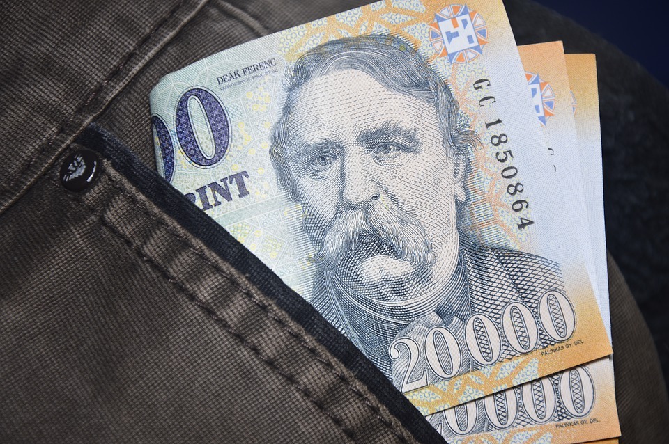 Ungaria ar putea adera la zona euro în 2032, estimează Eurasia Group