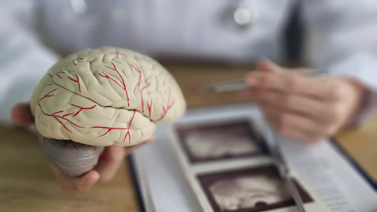 Neurochirurgul Alexandru Vlad Ciurea explică funcționarea creierului și clarifică mitul celor 10%