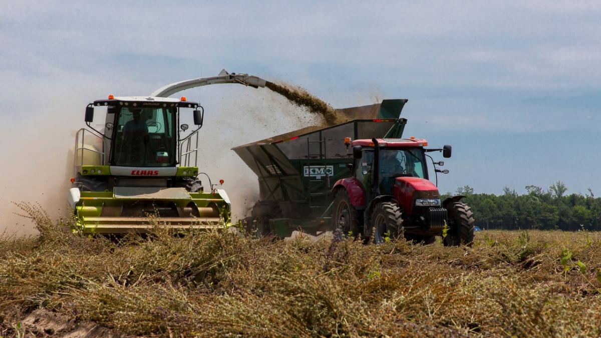 Creștere masivă a insolvențelor în sectorul agricol, în ciuda unui an de producție favorabil