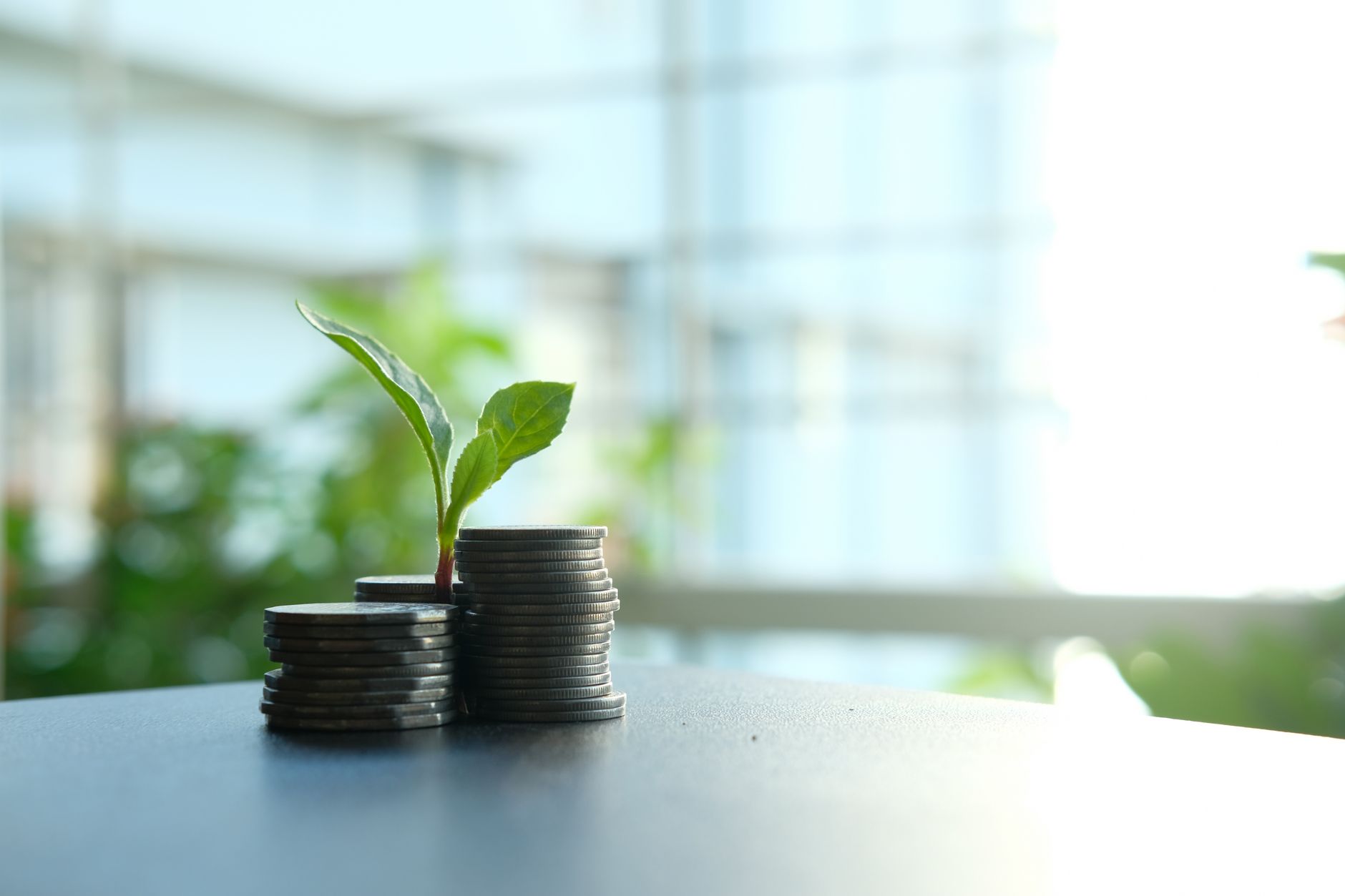 PNADD solicită noului guvern schimbarea modelului economic bazat pe datorie și consum
