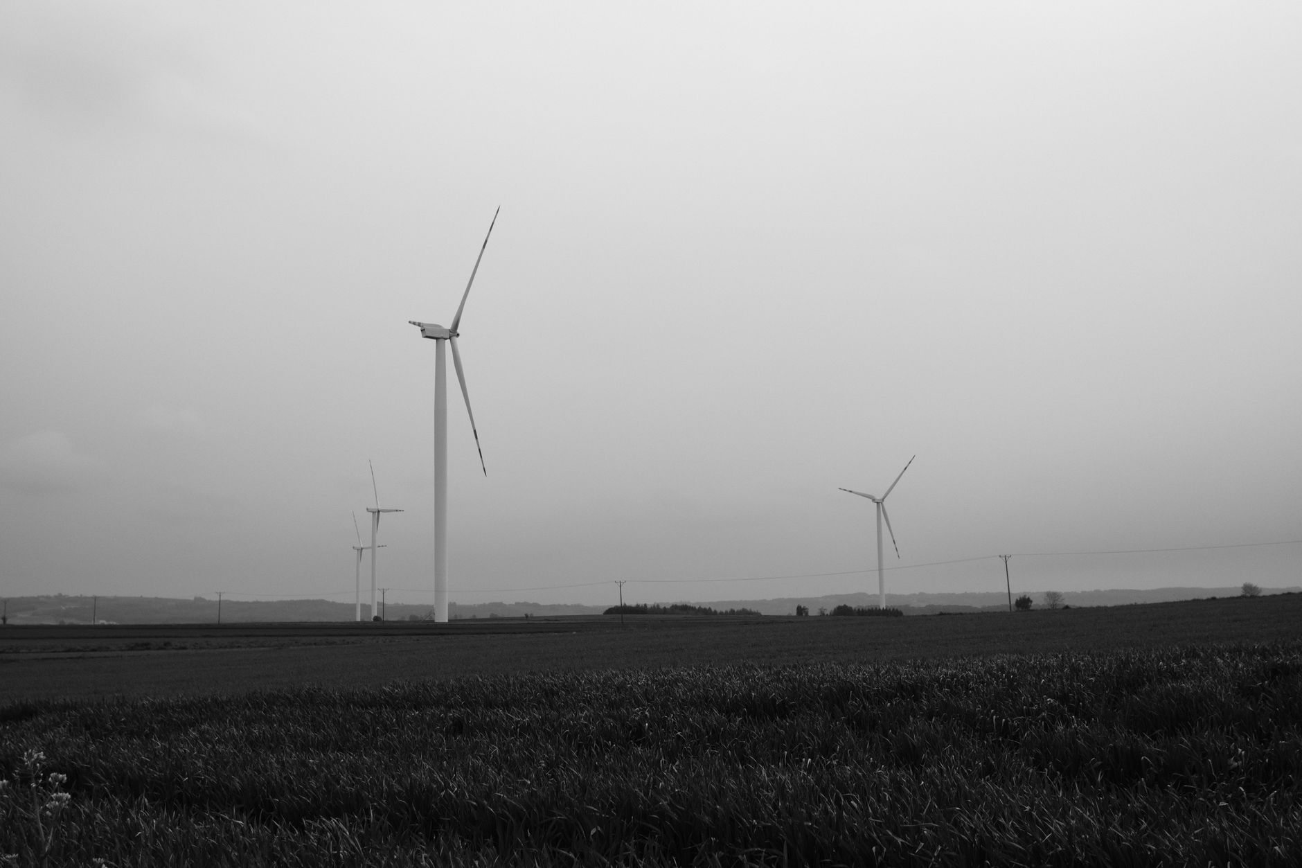 RES va gestiona parcul eolian Peștera II de 392 MW din apropierea Constanței