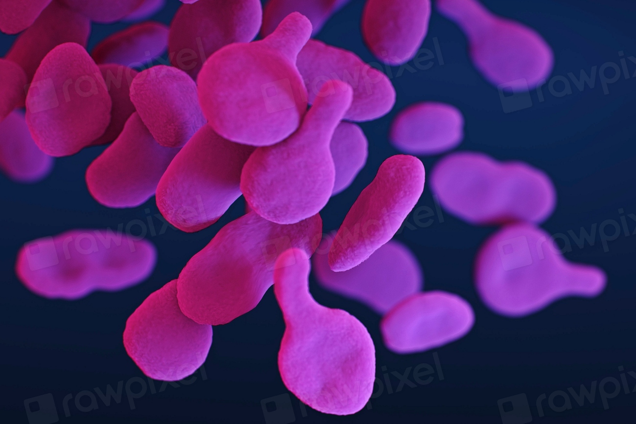 Descoperire în Oceanul Pacific: Bacterii din epavele din Al Doilea Război Mondial pot ajuta la combaterea poluării