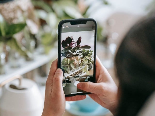 Cum poți identifica obiecte și texte folosind Google Lens pe smartphone