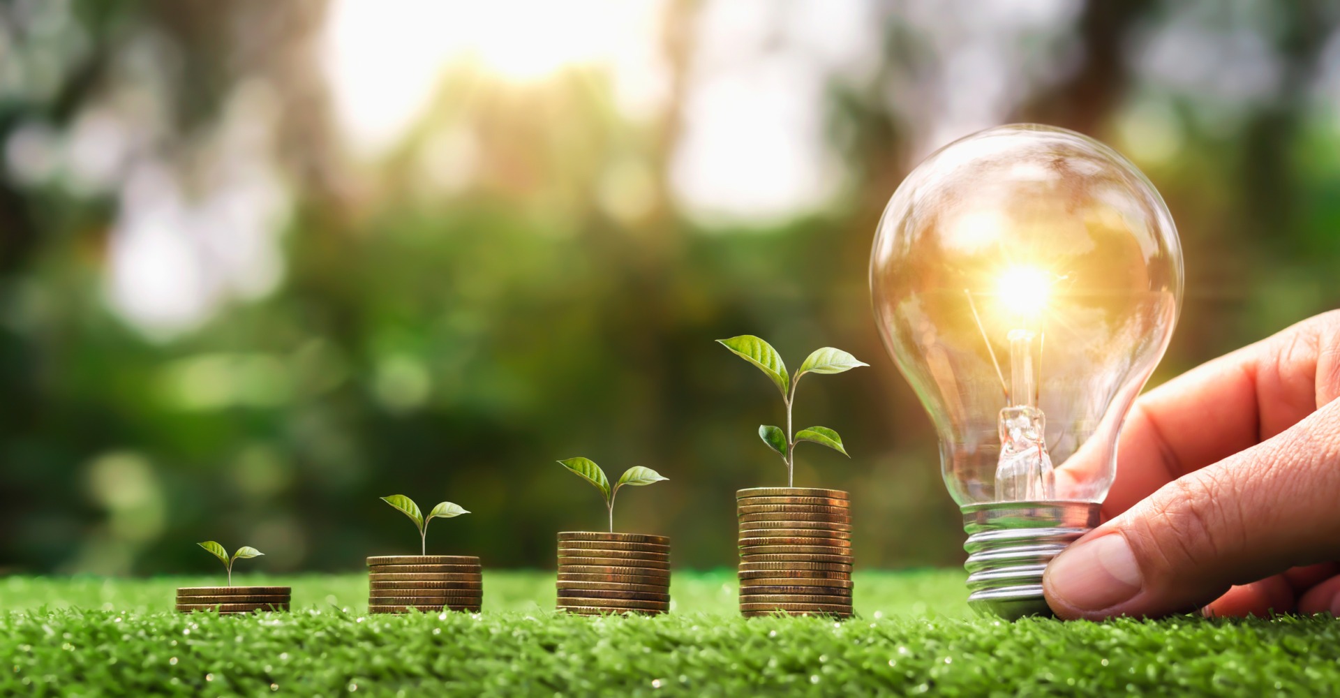 Amenzi de până la 15.000 de lei pentru firmele care nu raportează consumul de energie prin EfEnClima