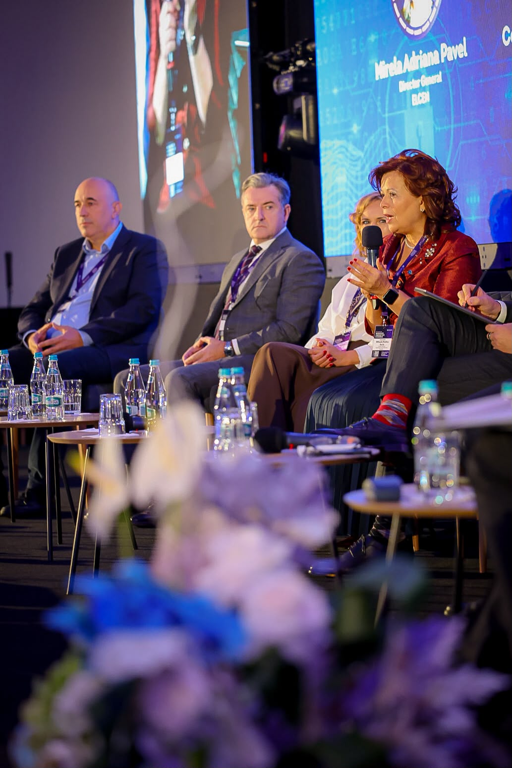 Mihaela Suciu (DEER): Este necesară modificarea metodologiei ANRE pentru finanțarea securității cibernetice