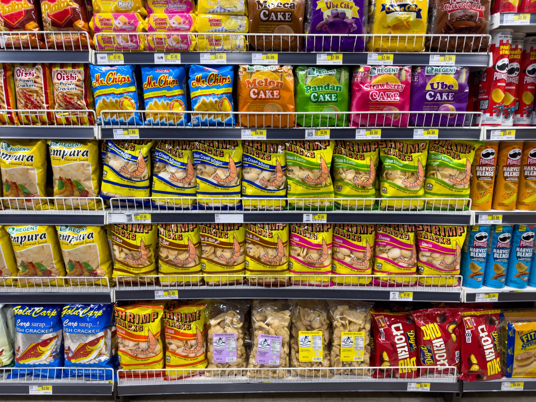 Lidl lansează noul brand Max & Mila’s World pentru îngrijirea animalelor de companie în România