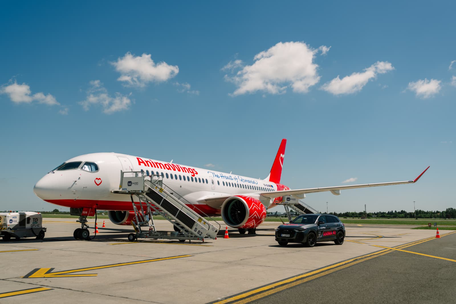 Compania aeriană AnimaWings a depus cererea de insolvență la Tribunalul București