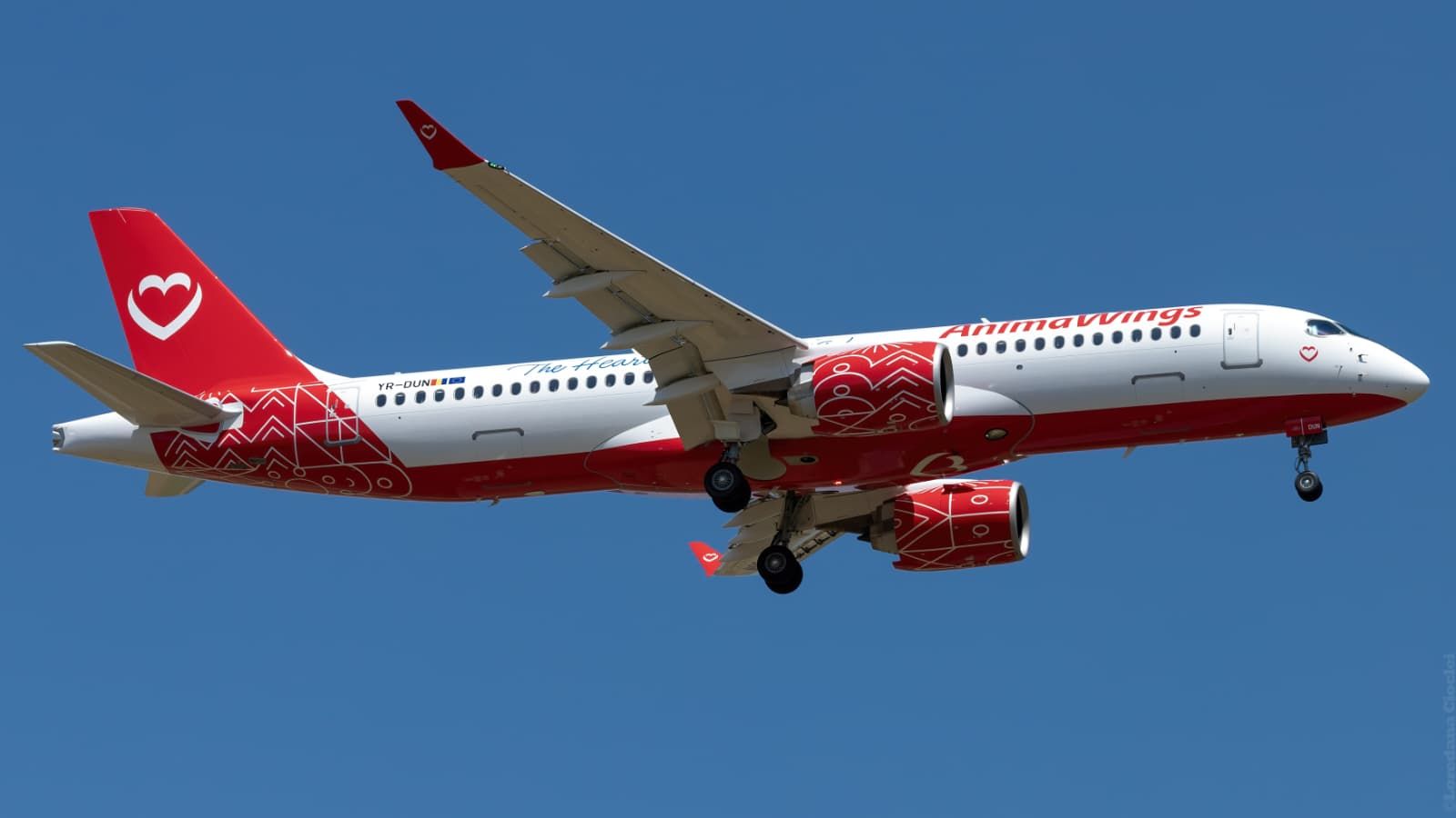 Compania aeriană Anima Wings a depus cererea de insolvență la Tribunalul București