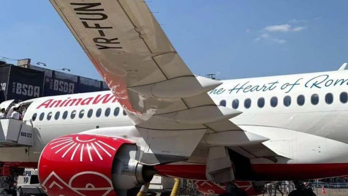 Compania AnimaWings a depus cererea de insolvență după problemele tehnice ale flotei