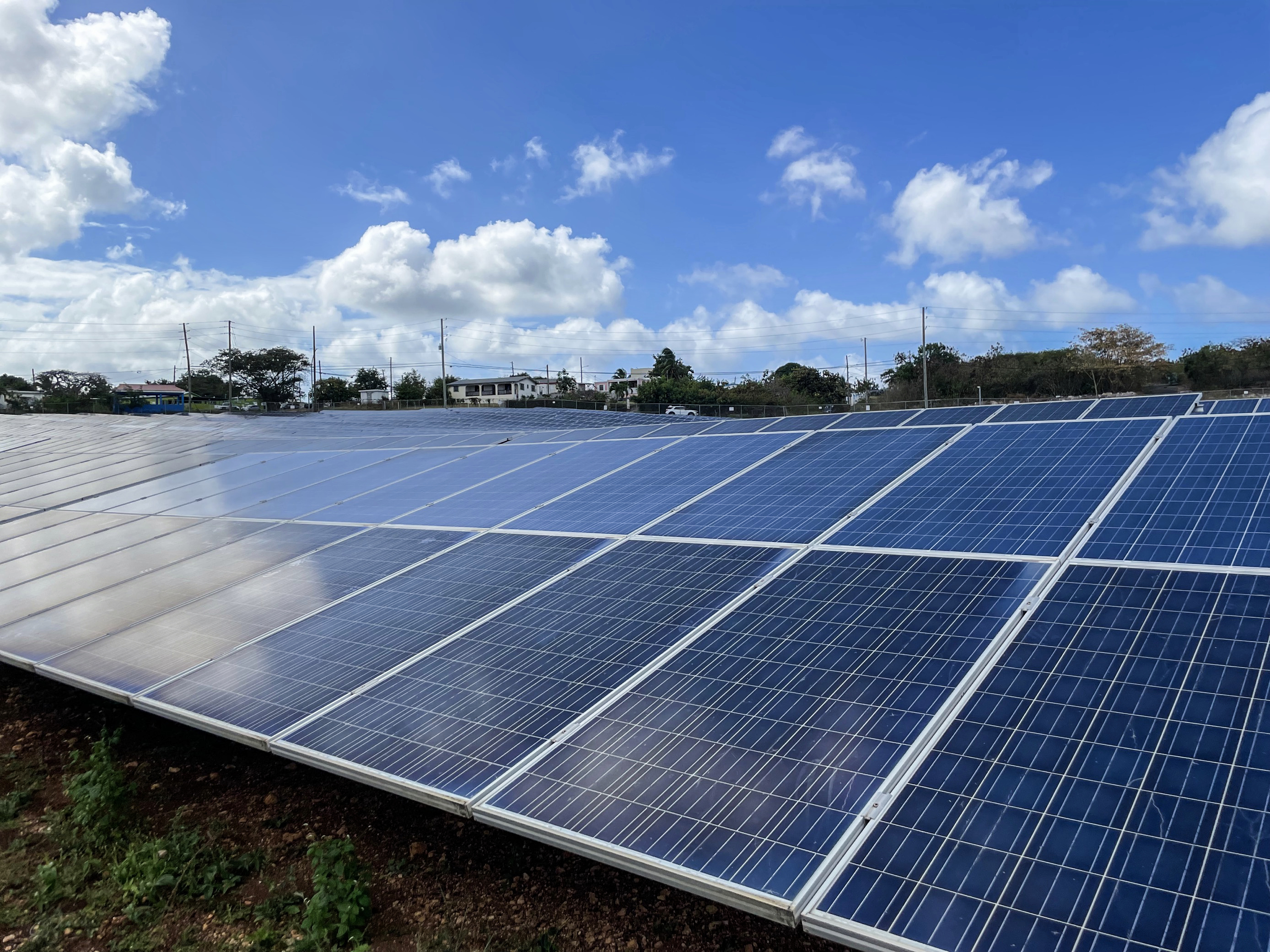 BEI finanțează cu 100 de milioane de euro un proiect solar masiv în Arad