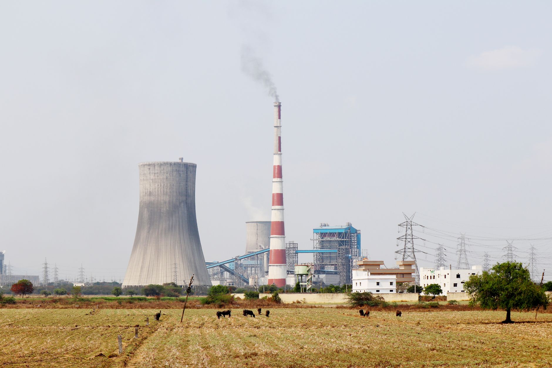 Complexul Energetic Oltenia nu a găsit cumpărători pentru energia cu livrare în 2027