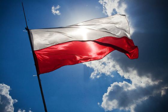 Companiile poloneze extind prezența în Germania prin achiziții de firme locale aflate în dificultate