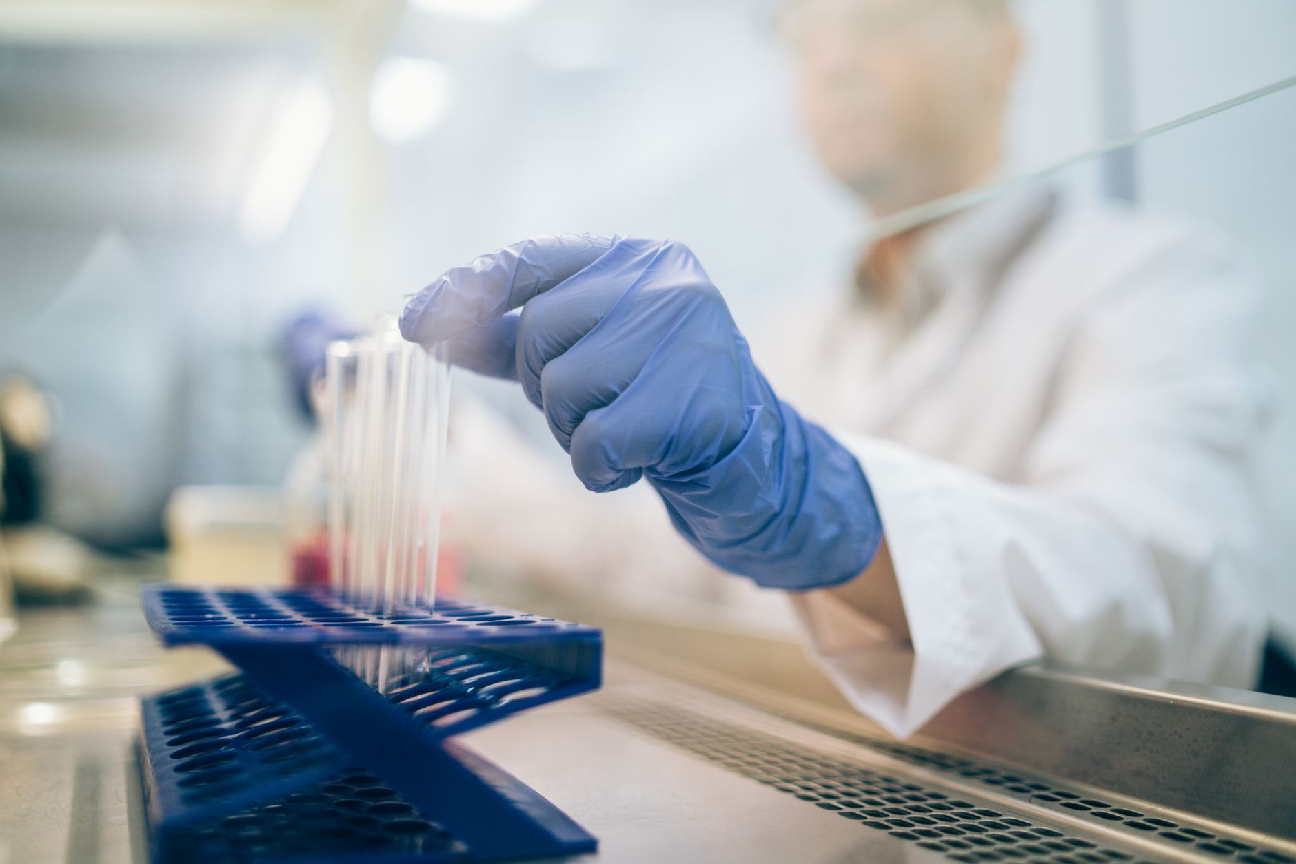 Simona Cocoș, directorul Zentiva România, analizează parcursul profesional și provocările industriei farmaceutice