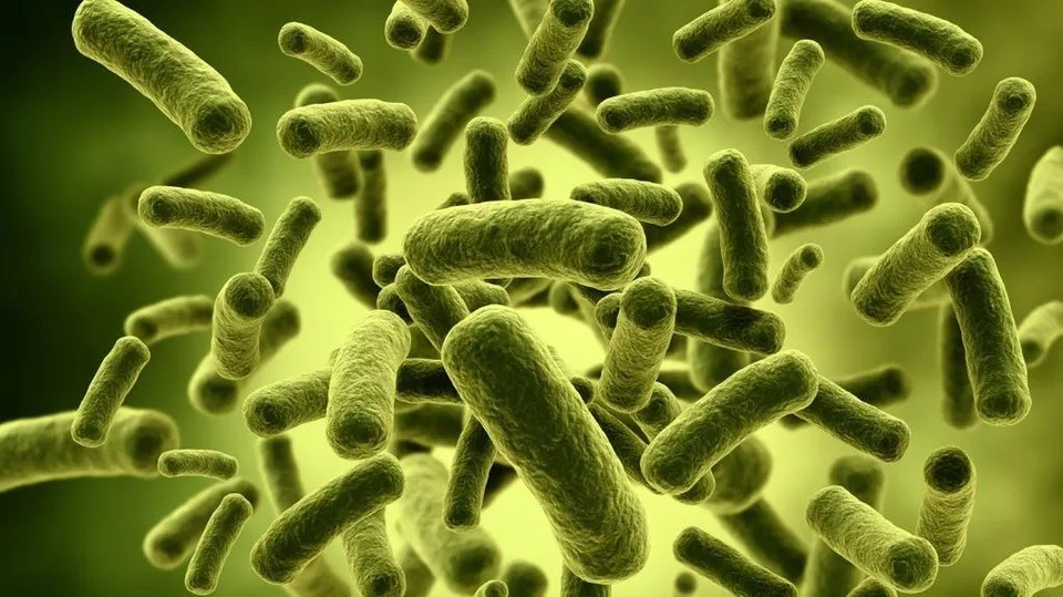Microbi modificați genetic pot facilita colonizarea și terraformarea planetei Marte