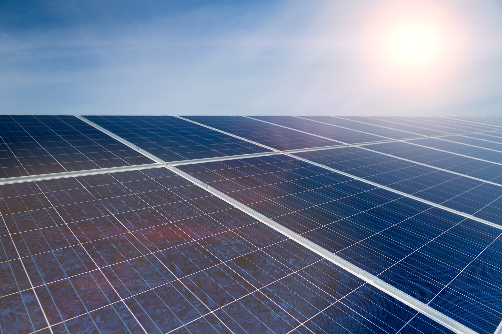 Agroserv Măriuța investește în energie solară pentru autoconsum prin finanțare AFIR