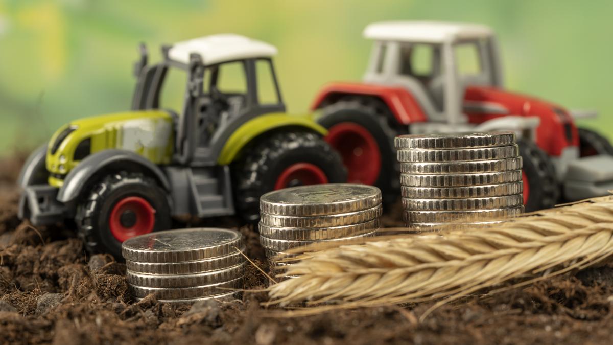 Agricultura trebuie inclusă în prioritățile strategice ale României pentru perioada 2028-2034