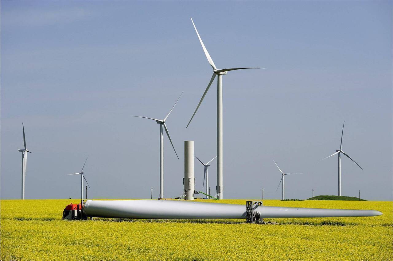Econergy extinde portofoliul în România cu un nou proiect eolian în Tulcea