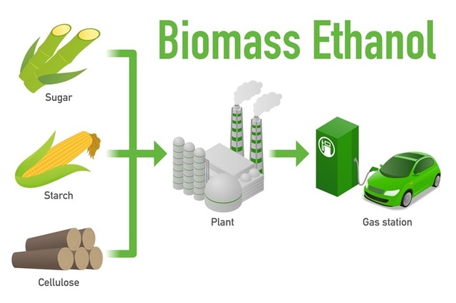 Producția globală de biocombustibili ar putea crește cu 70% până în 2030, avertizează experții