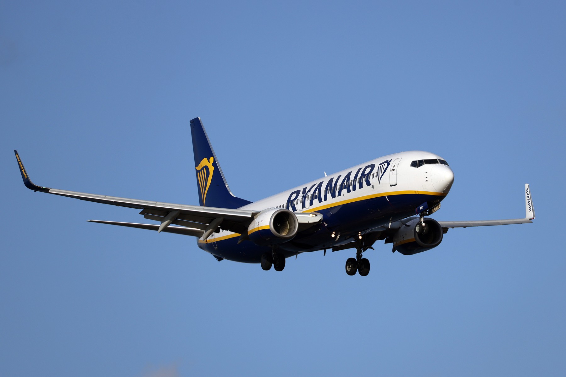 CEO Ryanair anticipează creșteri de 20% la biletele de avion și falimente în sectorul aerian
