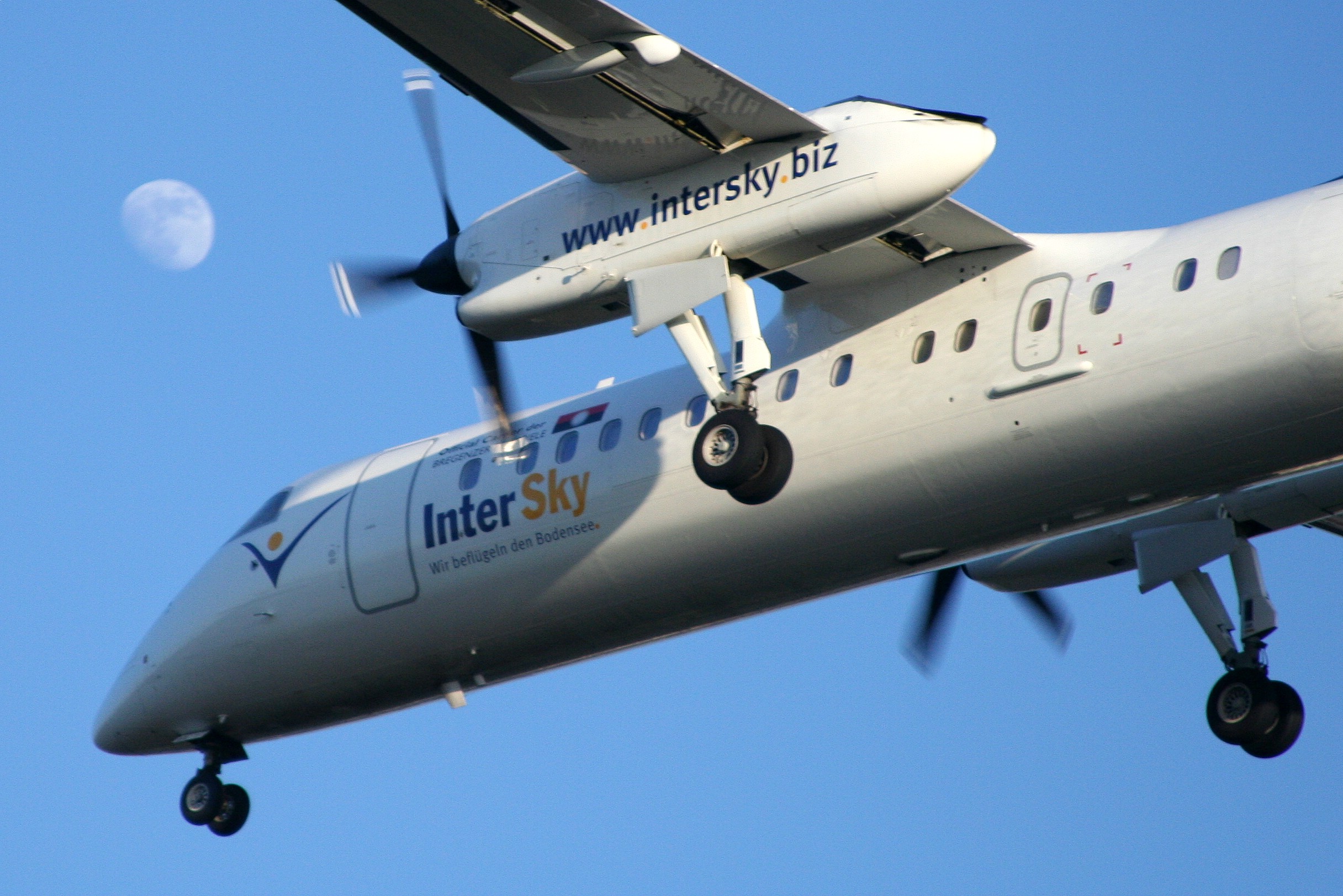 Modelul de supraviețuire al micilor companii aeriene: profituri infime și rute de nișă