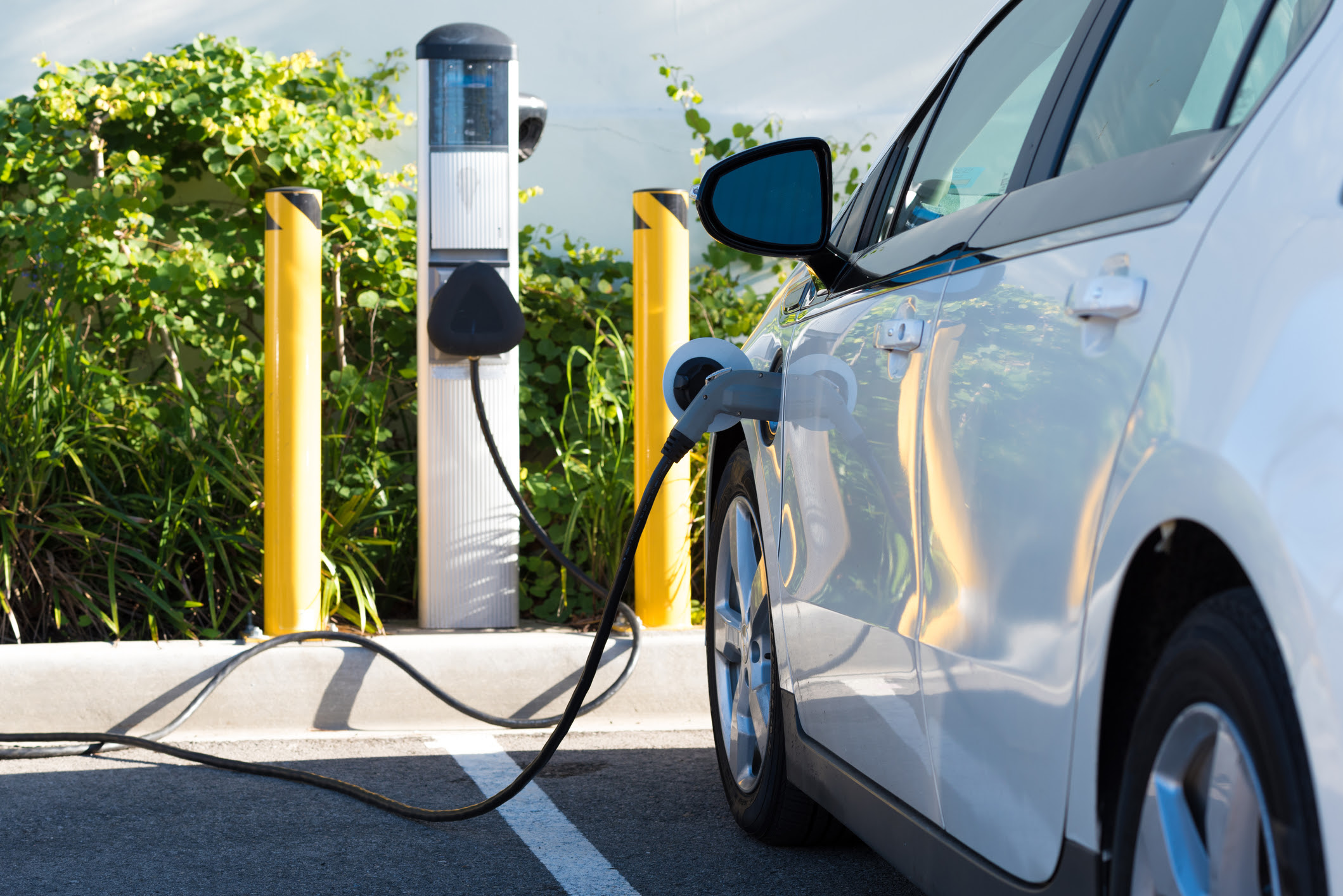 Vehiculele electrice domină piața auto din Uniunea Europeană, în timp ce producătorii chinezi câștigă cotă de piață