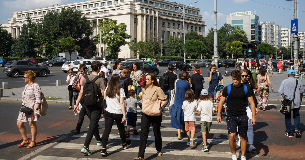 Cifra de afaceri în comerțul cu ridicata a scăzut cu 6,9% în iulie 2026 față de anul trecut