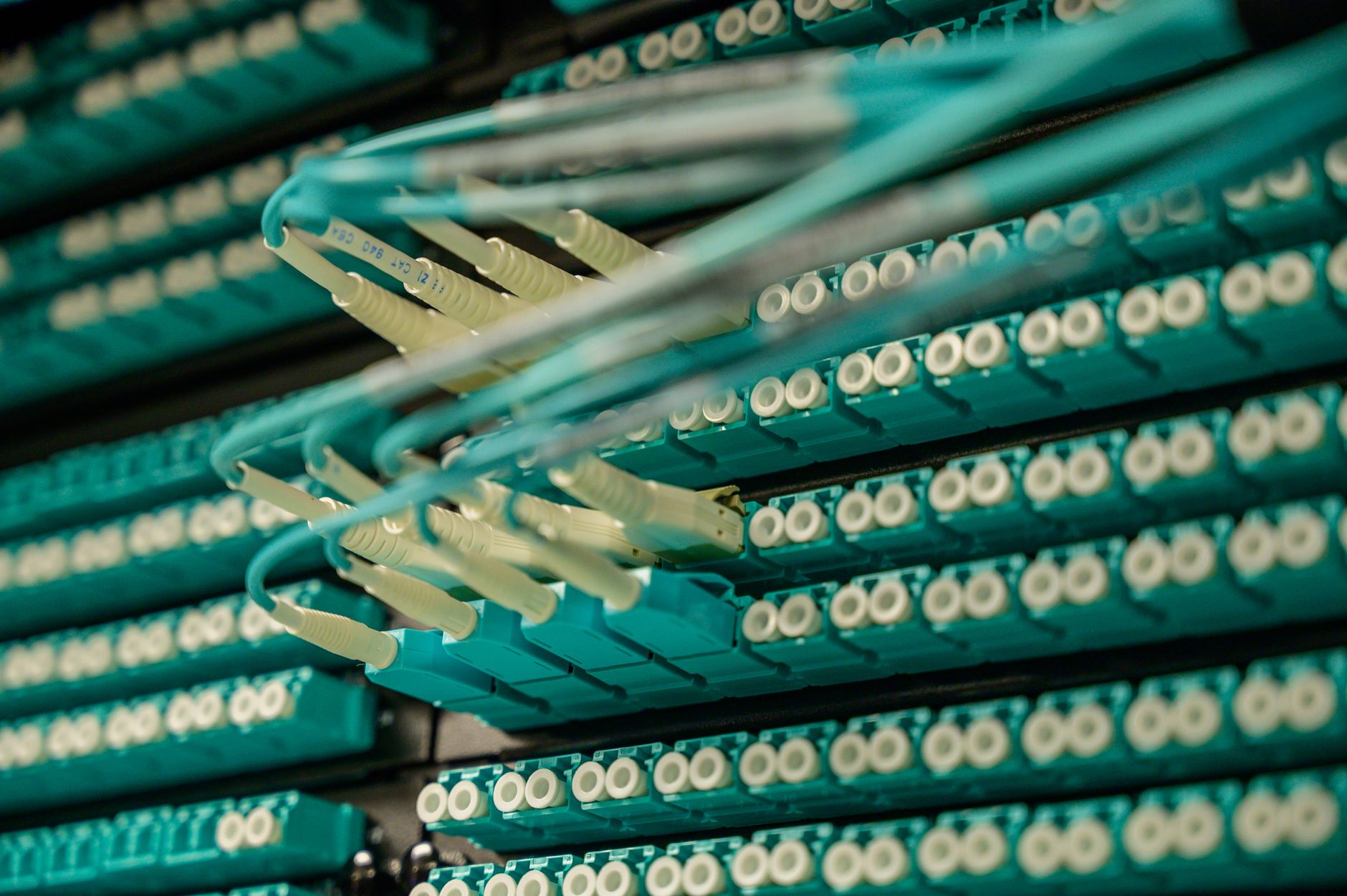 Explozie de investiții în inteligența artificială: cheltuielile companiilor au crescut cu 406%