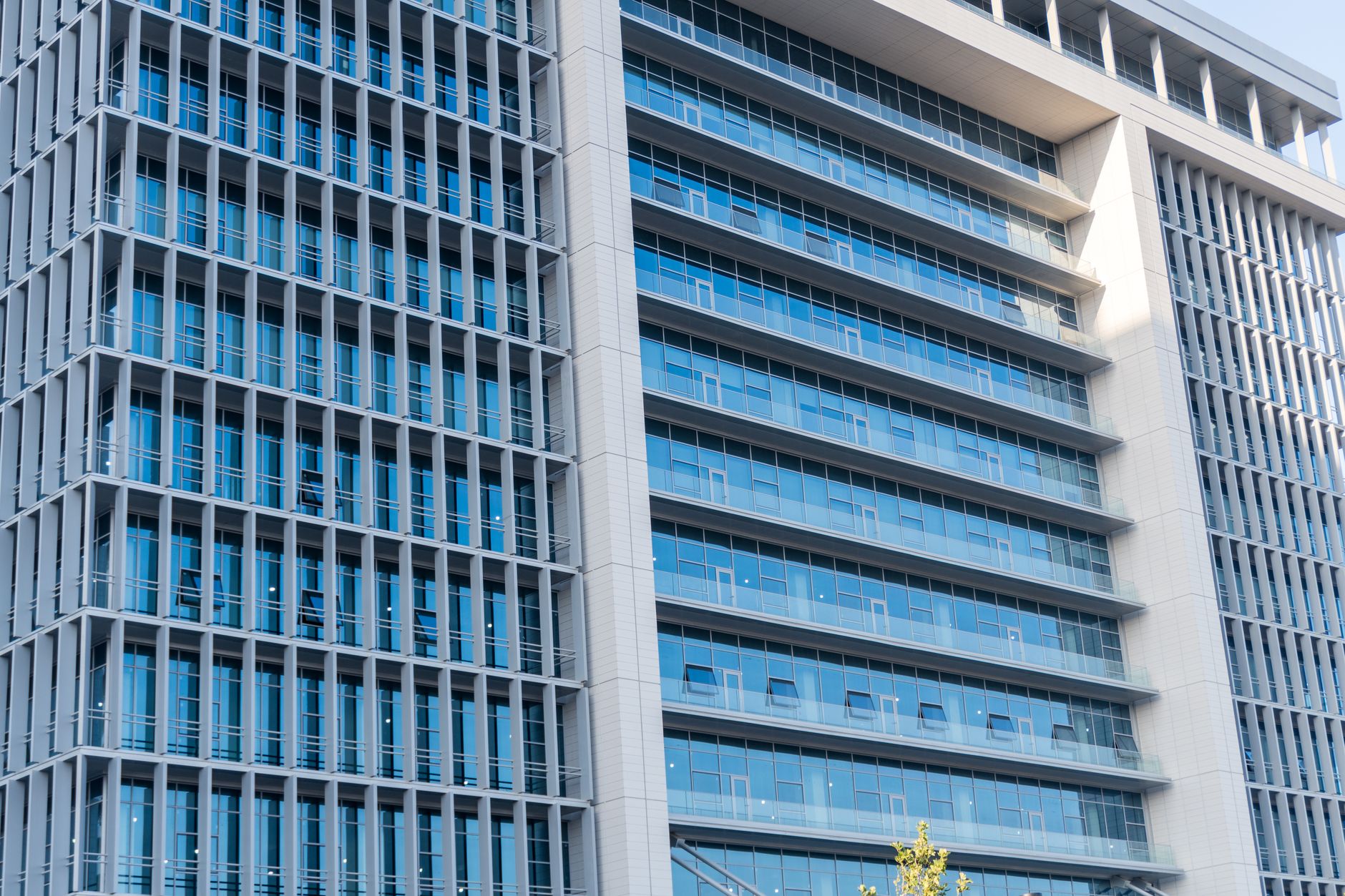 Compania olandeză Itility deschide primul sediu în România, la Iași
