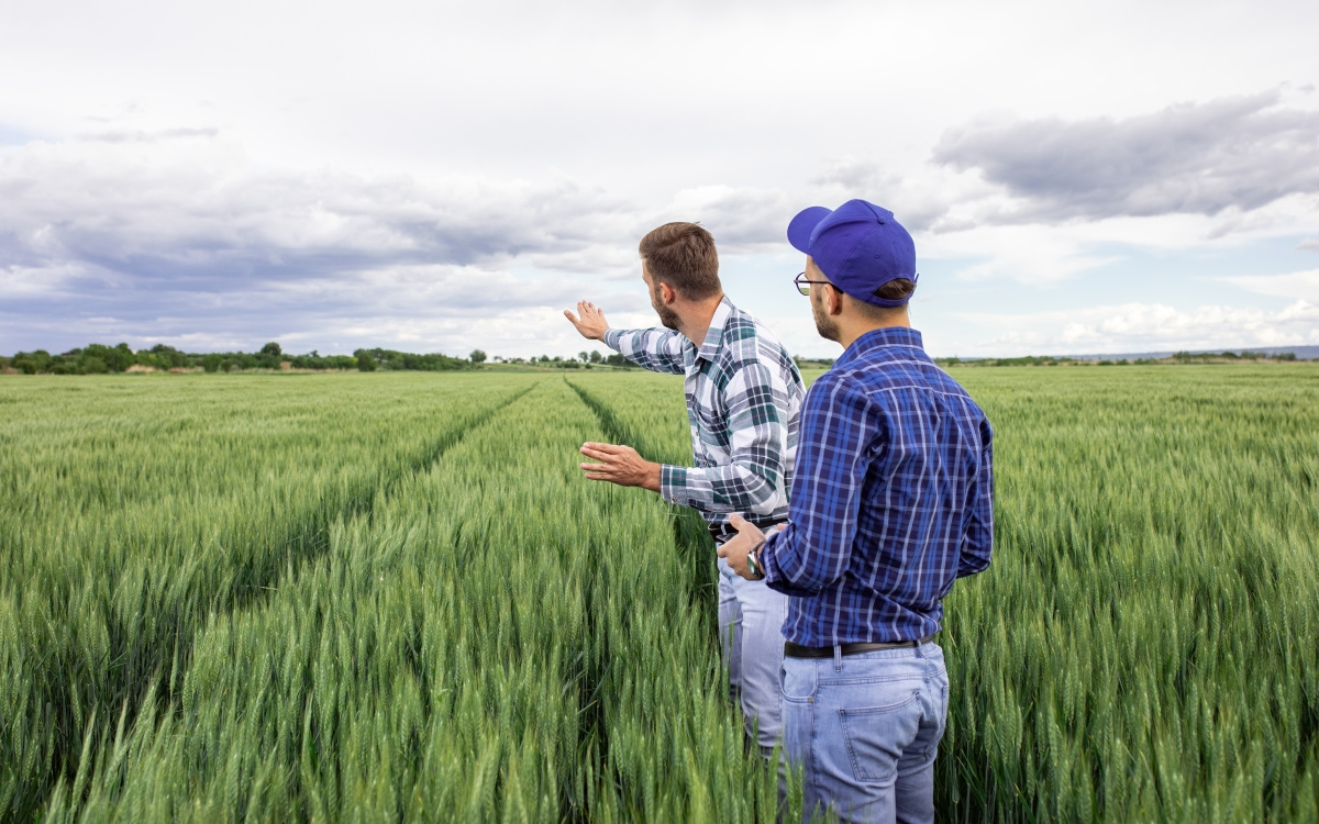 Impactul agriculturii asupra stratului de ozon și rolul tehnologiei în reducerea emisiilor de protoxid de azot